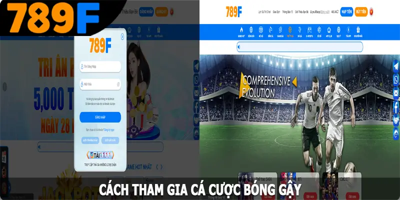 Cách tham gia cá cược bóng gậy tại 789F