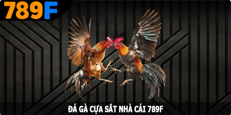 Đá Gà Cựa Sắt – Màn Thi Đấu Mãn Nhãn Với Chiến Kê Hàng Đầu