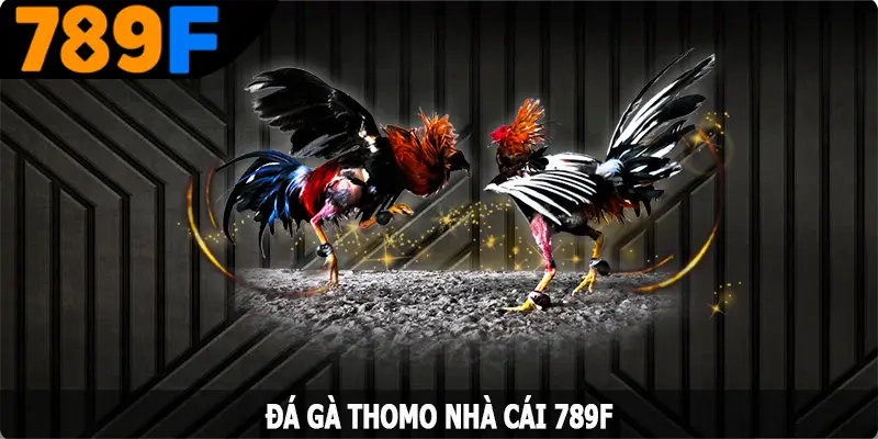 Đá Gà Thomo – Nơi Hội Tụ Các Trận Đấu Với Chiến Kê Hàng Đầu