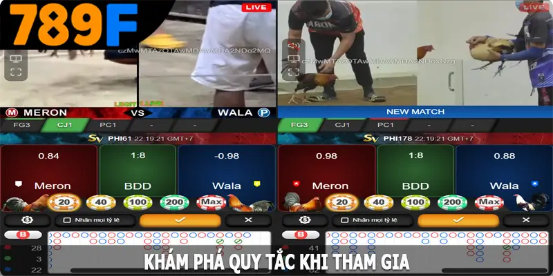 Khám phá quy tắc khi tham gia tại 789F