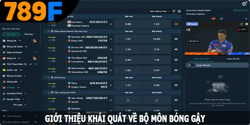 Luật chơi và dự đoán kết quả bóng gậy chi tiết